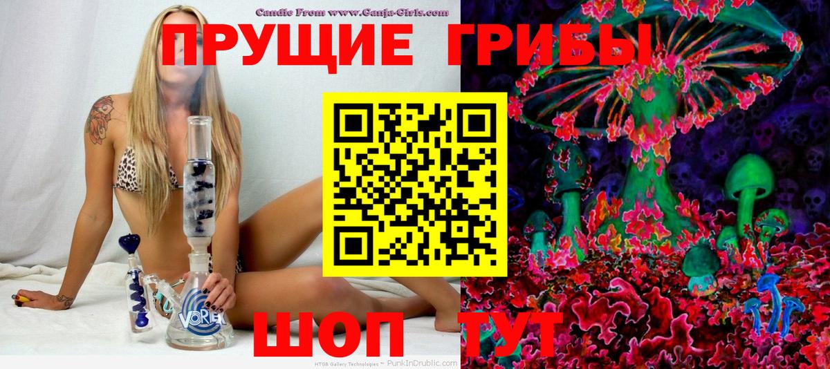 Лобня  Галлюциногенные грибы Psilocybine cubensis  Вход с VPN 